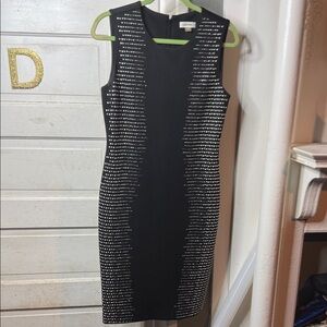 Calvin Klein Black Dress with Silver Accents